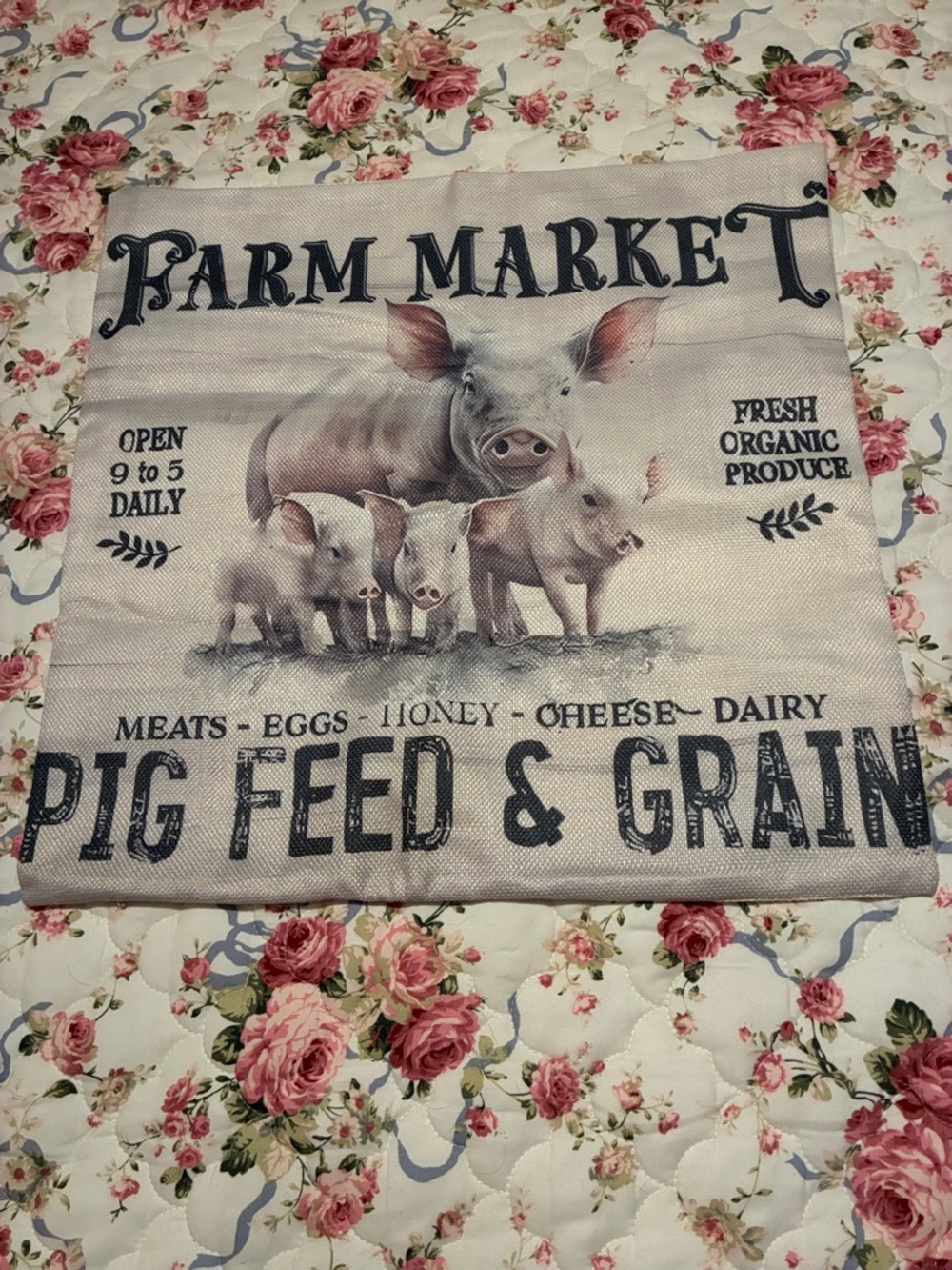 NWOT-Farm Market Pig Feed & Grain Decorative Accent Pillow - Beige